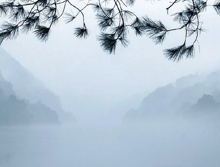 一蓑烟雨任平生