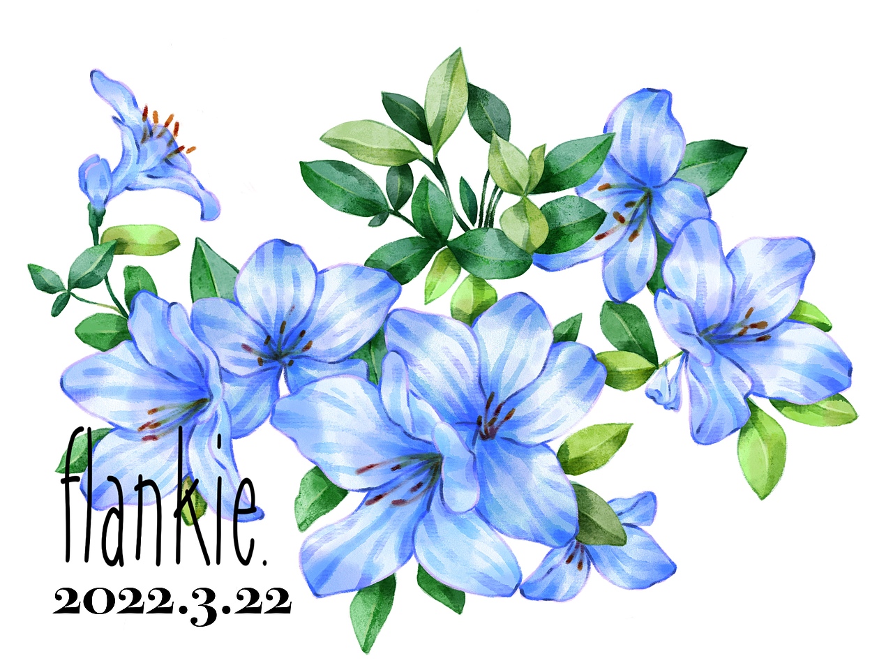 #my CLARINS 寻找天然肌# 含苞盛放（图ZMjkzNzY0NDMy） - 商业插画 - 站酷设计师Flankie原创素材 - 站酷ZCOOL