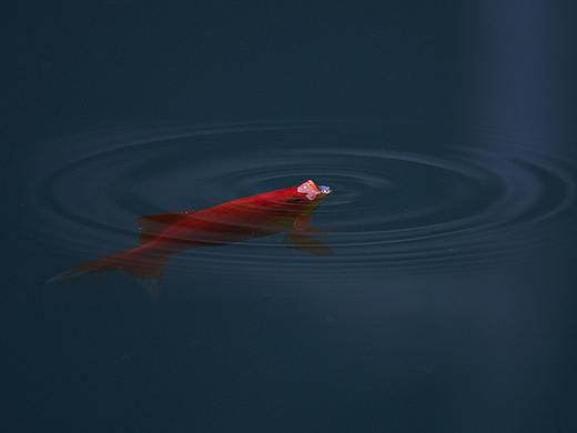 暮鼓晨钟