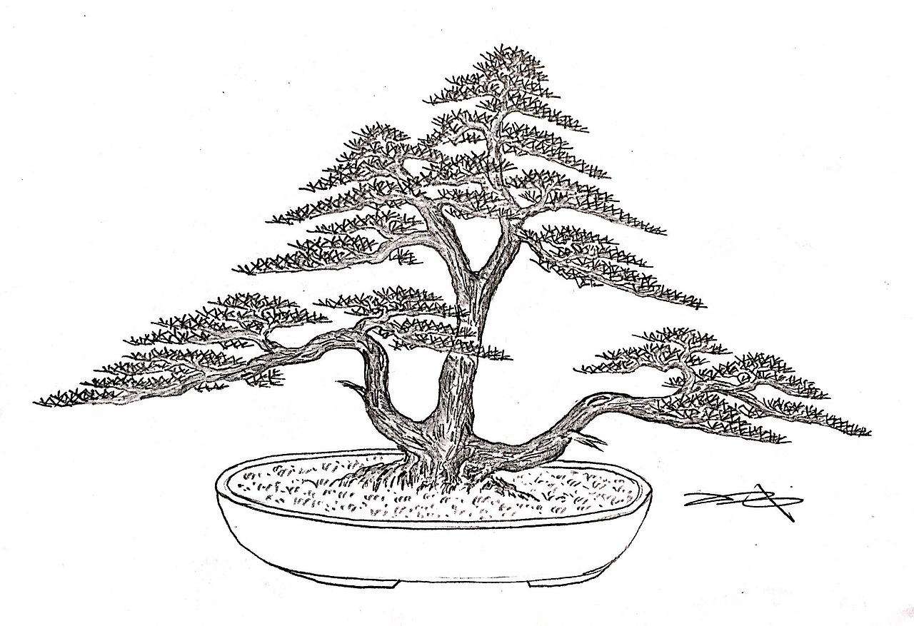 吕绍武手绘盆景设计效果图（图ZMTY4MDkwNTg0） - 绘画 - 站酷设计师慧武原创素材 - 站酷ZCOOL