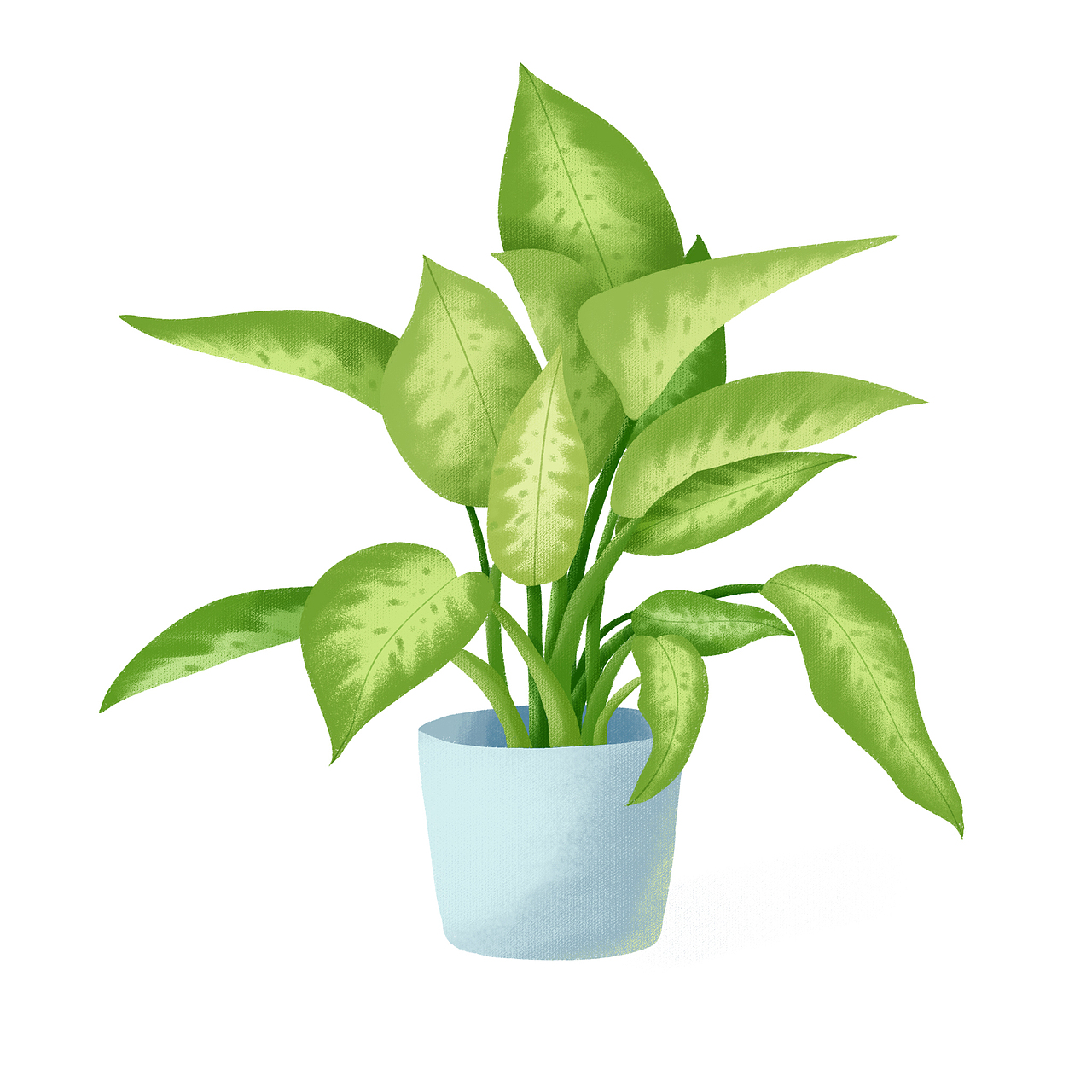 植物（图ZMjgwNzQyNjU2） - 创作习作 - 站酷设计师小舍137063855原创素材 - 站酷ZCOOL