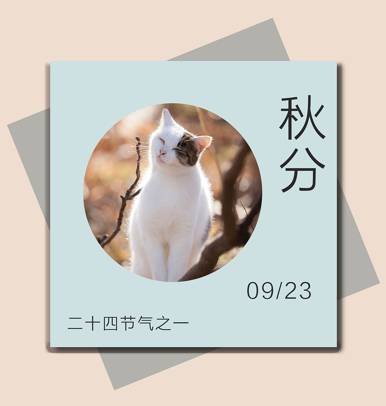 二十四节气（图ZOTg0MDc2NDQ=） - 其他平面 - 站酷设计师陈陈陈大锤原创素材 - 站酷ZCOOL