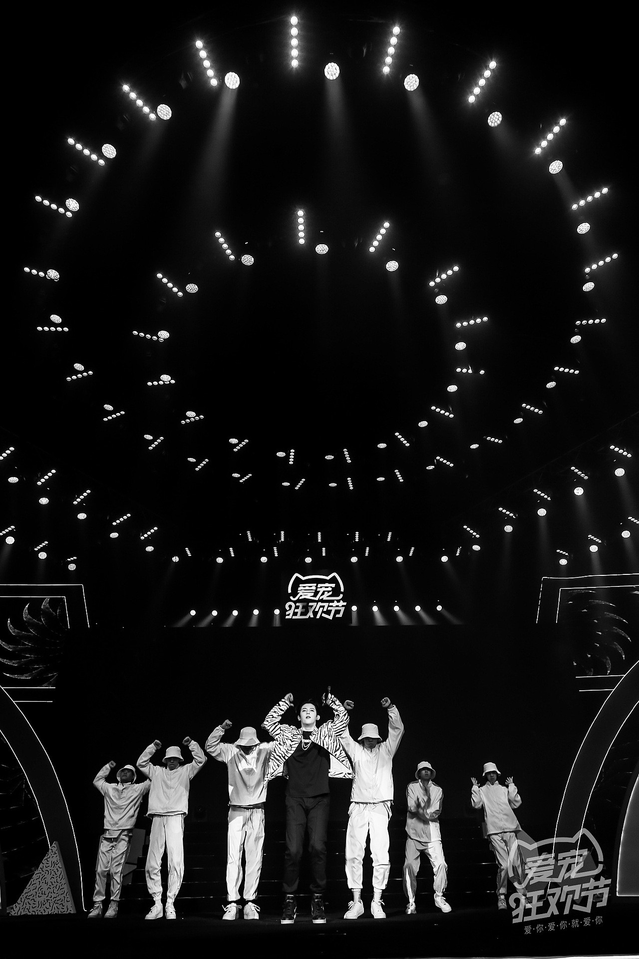 2020爱宠狂欢节-2020年9月10日作