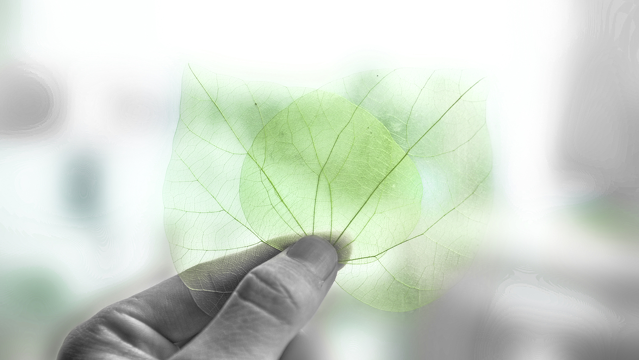 《叶碎落》TOM逐梦香格里拉——小叶子（图ZMTE4MDMzMjA=） - 产品摄影 - 站酷设计师MrKoki原创素材 - 站酷ZCOOL