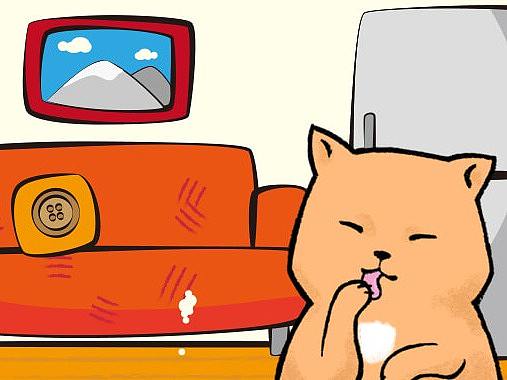 扣子猫微信表情