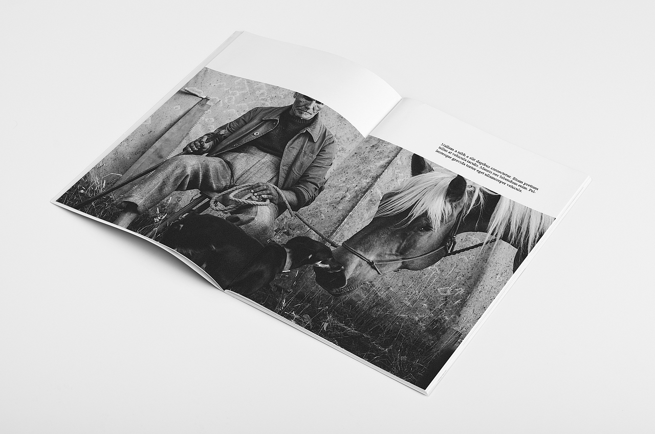 欧美风简洁画册排版练习(摄影素材来自网络)