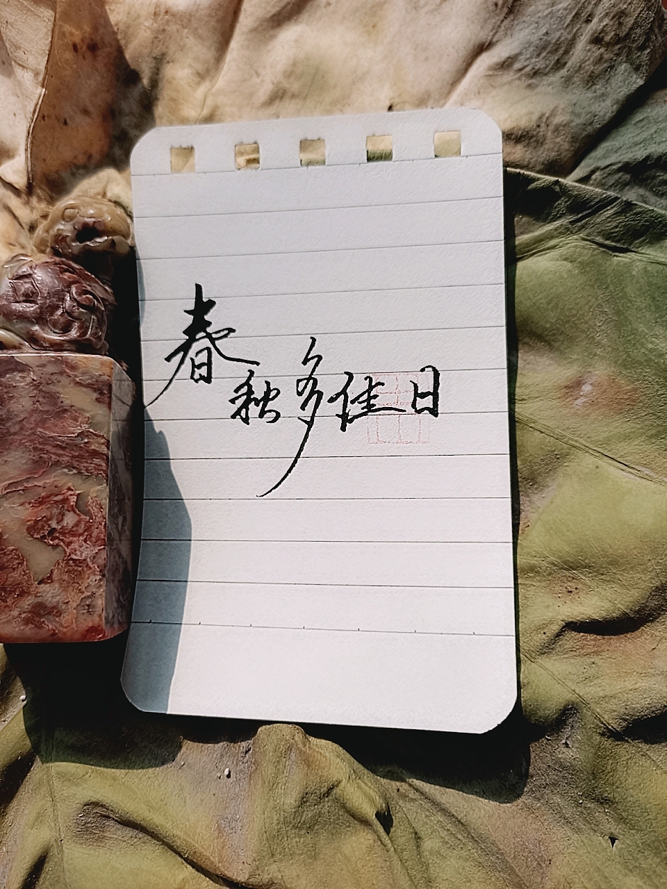 濟生手寫（圖ZMTk2NDI0NjA4） - 書法 - 站酷設(shè)計師言吾齋原創(chuàng)素材 - 站酷ZCOOL