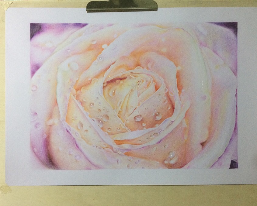 彩铅玫瑰…（图ZOTA4ODk4ODQ=） - 绘画 - 站酷设计师xuqj原创素材 - 站酷ZCOOL