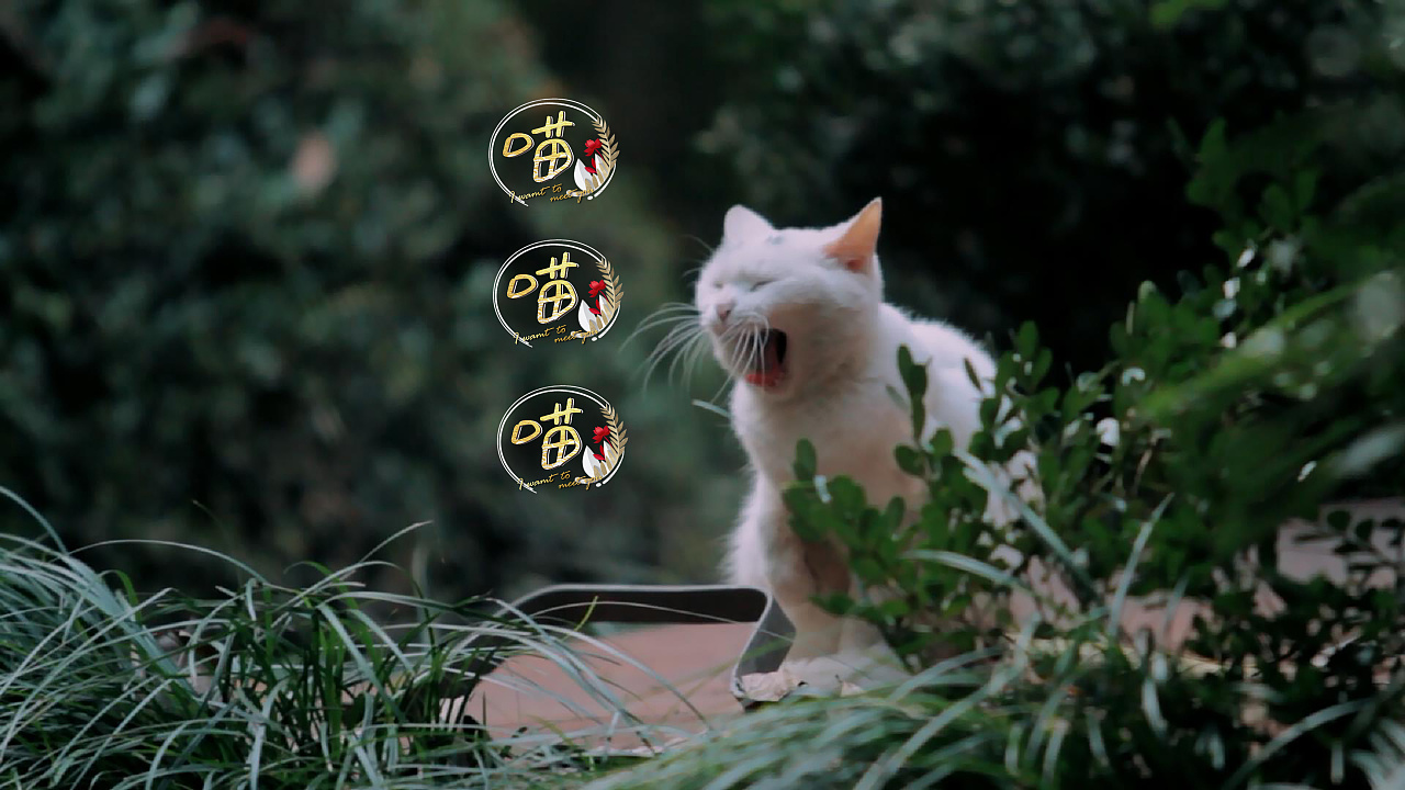 北京卫视《我想见到你》花字版式