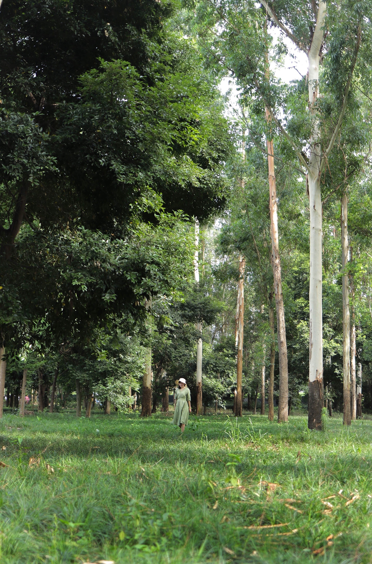 树林小清新拍摄写真