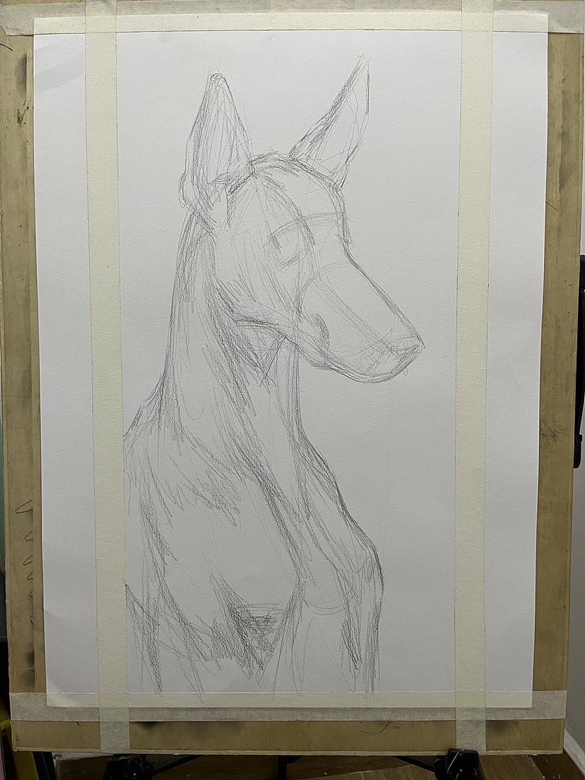 画了一条不知道叫什么的狗！（图ZMzM2NDcwMTky） - 绘画 - 站酷设计师唐老师的素描课堂原创素材 - 站酷ZCOOL