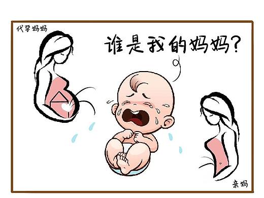 代孕妈妈的荒诞世界