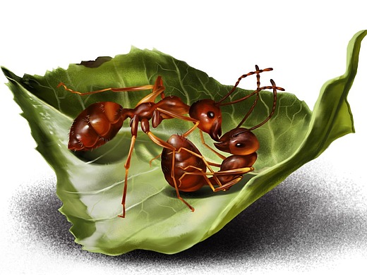 怪物猎人世界古龙全家福