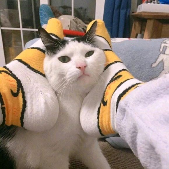 只歡喜啊的個(gè)人主頁（封面預(yù)覽） - 主頁封面設(shè)置 - 站酷設(shè)計(jì)師只歡喜啊原創(chuàng)素材 - 站酷ZCOOL