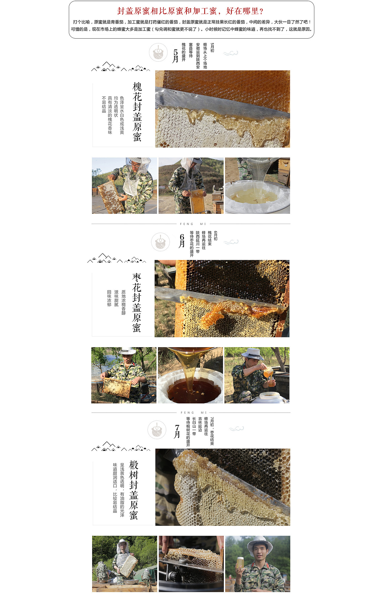 原创作品:天猫 淘宝 食品 蜂蜜首页设计展示