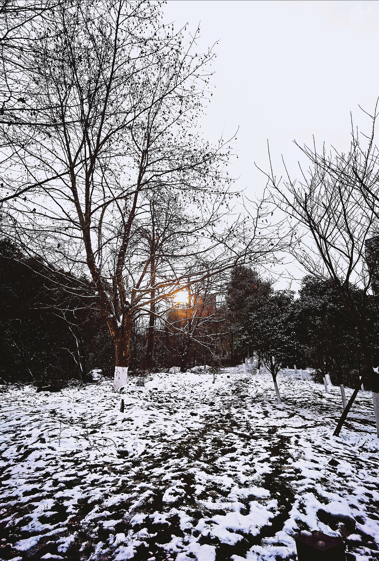 20220222.春雪（图ZMjg5NjMyNjQ4） - 风光摄影 - 站酷设计师花生酥脆原创素材 - 站酷ZCOOL