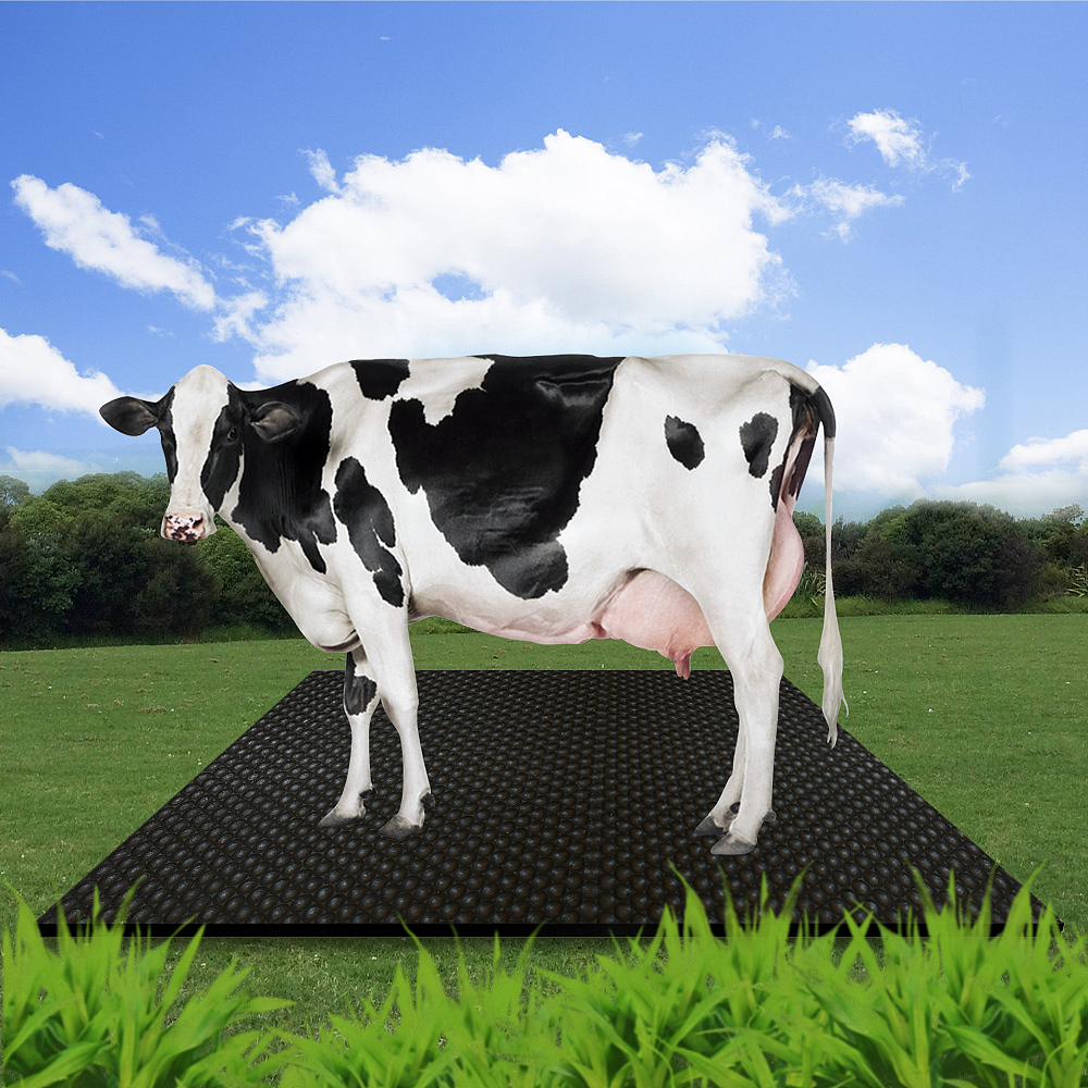 1月份作品（图ZMjg2NjkzNDQw） - 其他平面 - 站酷设计师毛桥集市原创素材 - 站酷ZCOOL