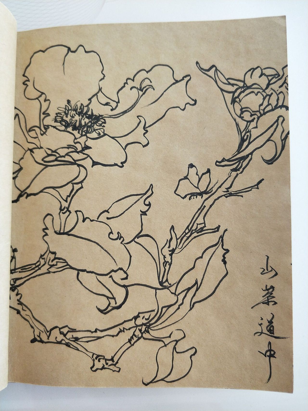线描手绘（图ZMTAwNTc1NTg0） - 电商 - 站酷设计师鉲菈鉲菈原创素材 - 站酷ZCOOL