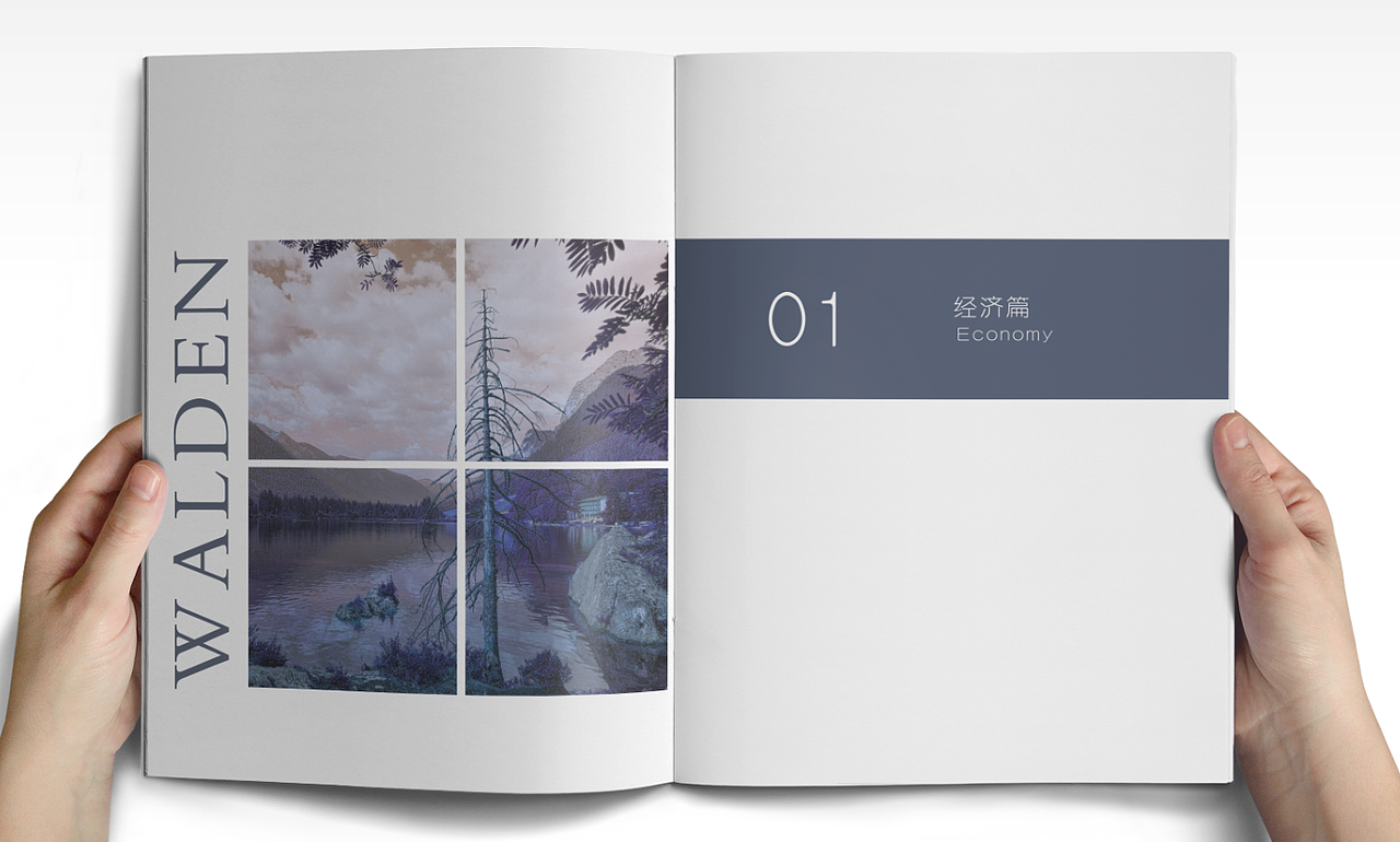 瓦尔登湖书籍设计（图ZMTMyMDQwOTg0） - 书籍/画册 - 站酷设计师鱼干铺里原创素材 - 站酷ZCOOL