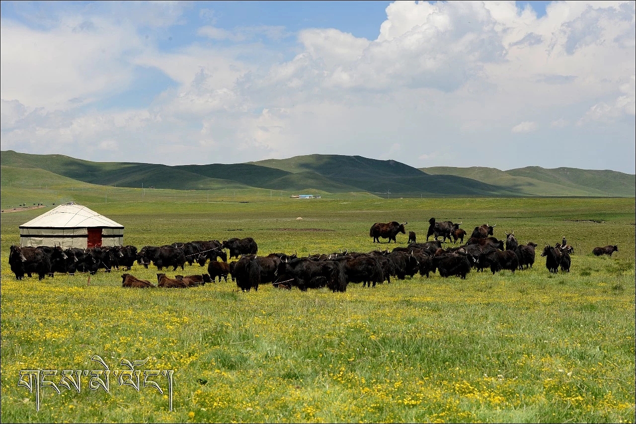 藏风景（图ZMTQxMDU3NDA4） - 短篇/格漫 - 站酷设计师白持地原创素材 - 站酷ZCOOL