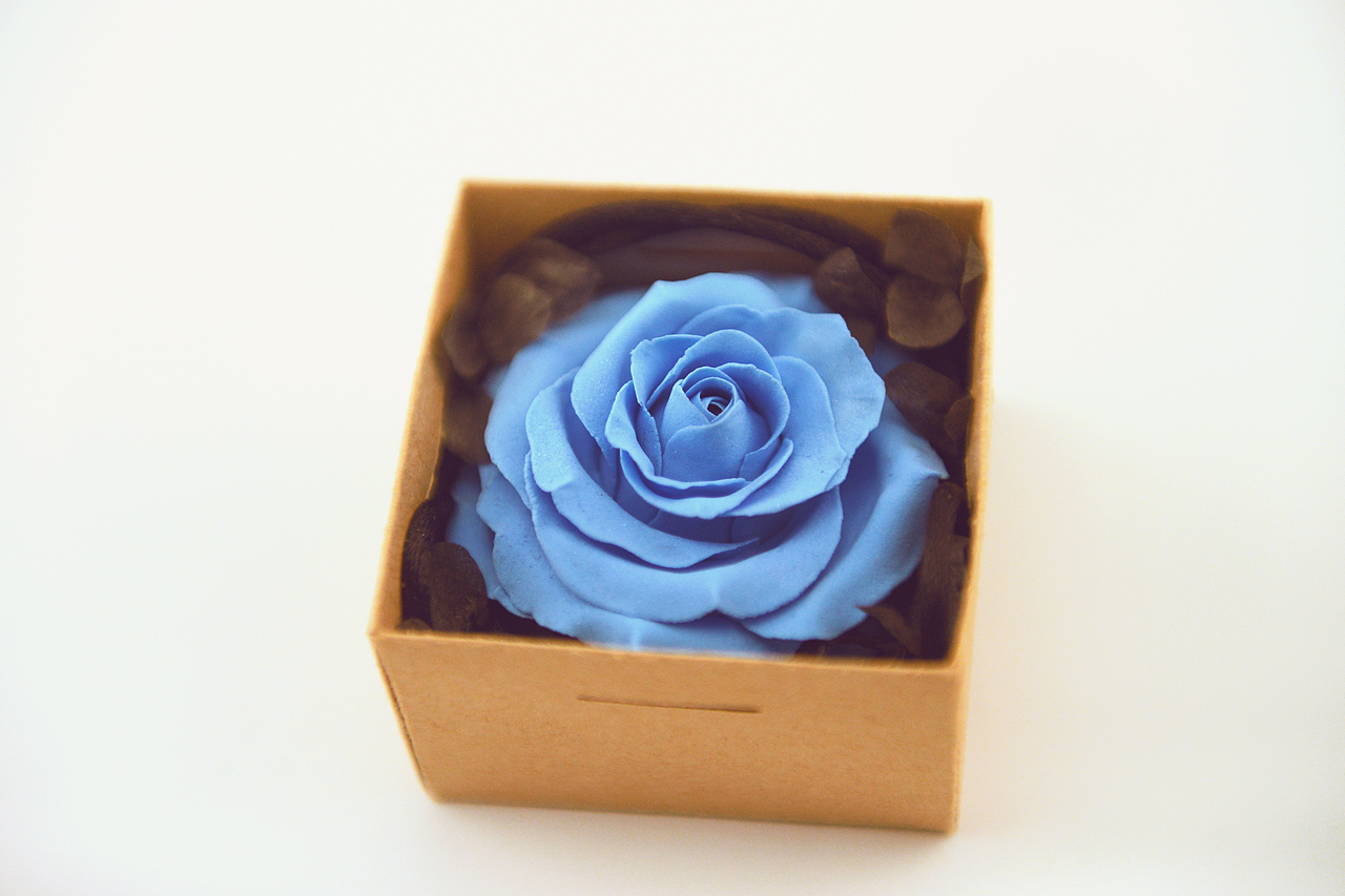 超轻粘土——玫瑰花（图ZMjQ3NDk0NDQ=） - 其他手工艺 - 站酷设计师爱卡IXcat原创素材 - 站酷ZCOOL