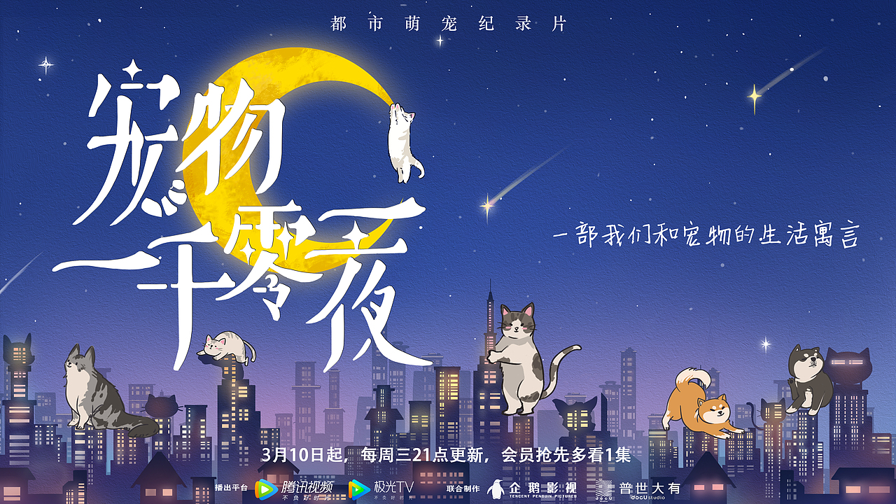 纪录片《宠物一千零一夜》海报设计