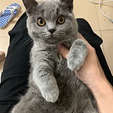 君麻吕lin的头像