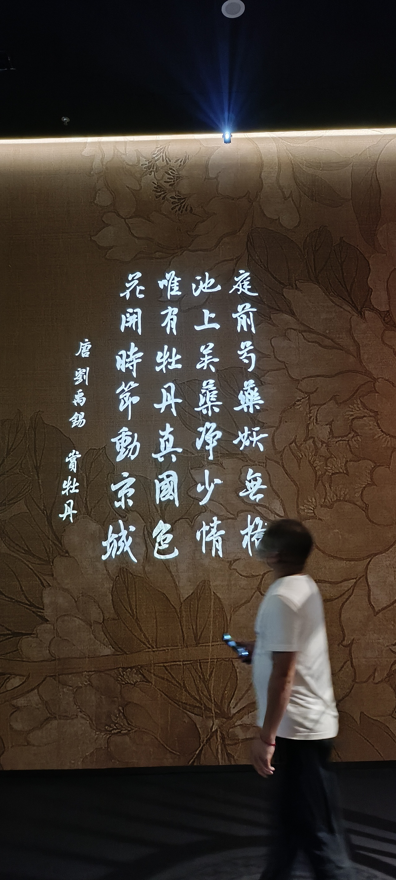 洛阳牡丹博物馆