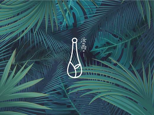 汝西 护肤品 品牌设计 logo