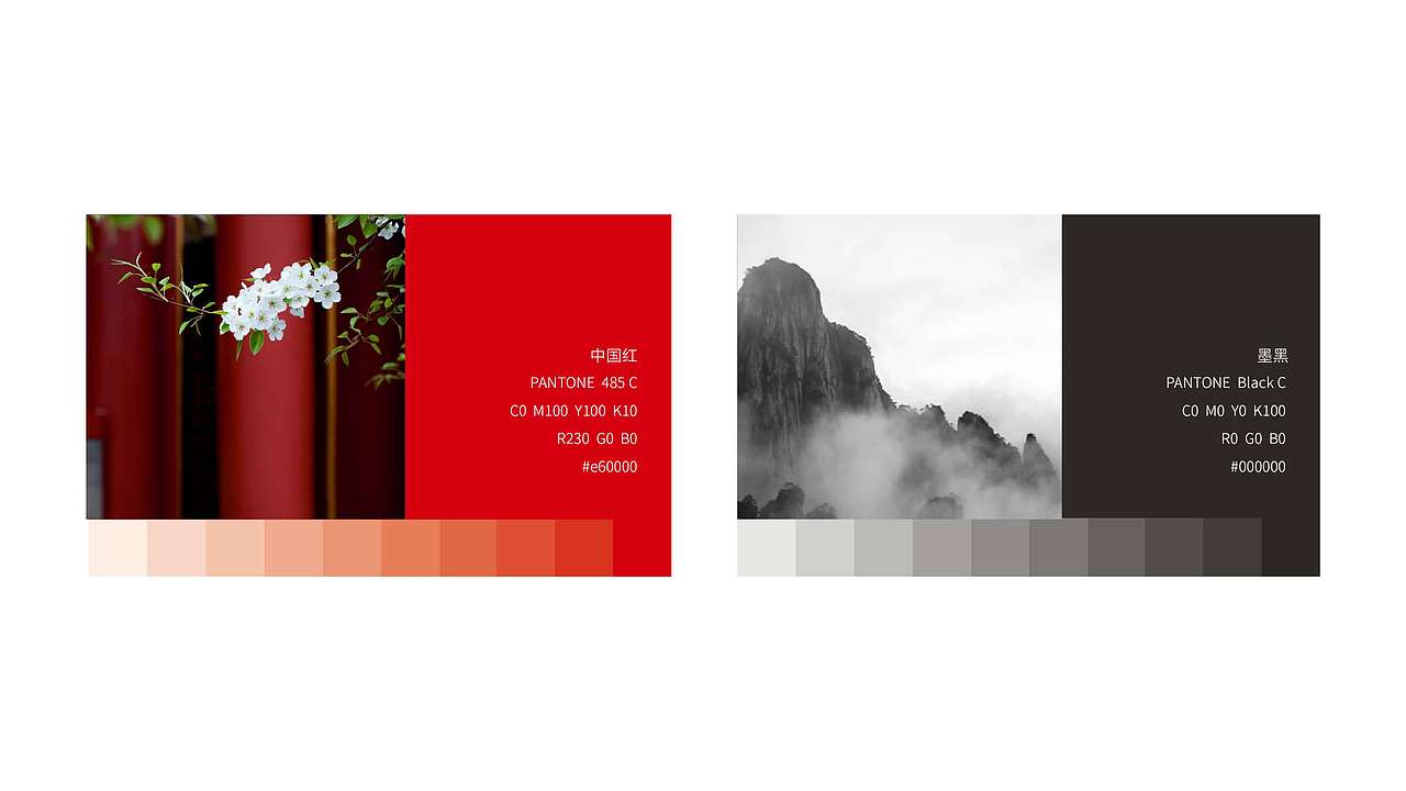 南芝堂 健康 互联网 农业 食品 绿色