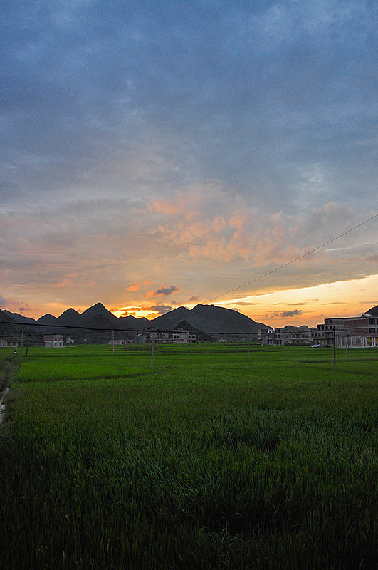 那麼美的事物只能保持幾分鐘