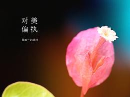 对美偏执