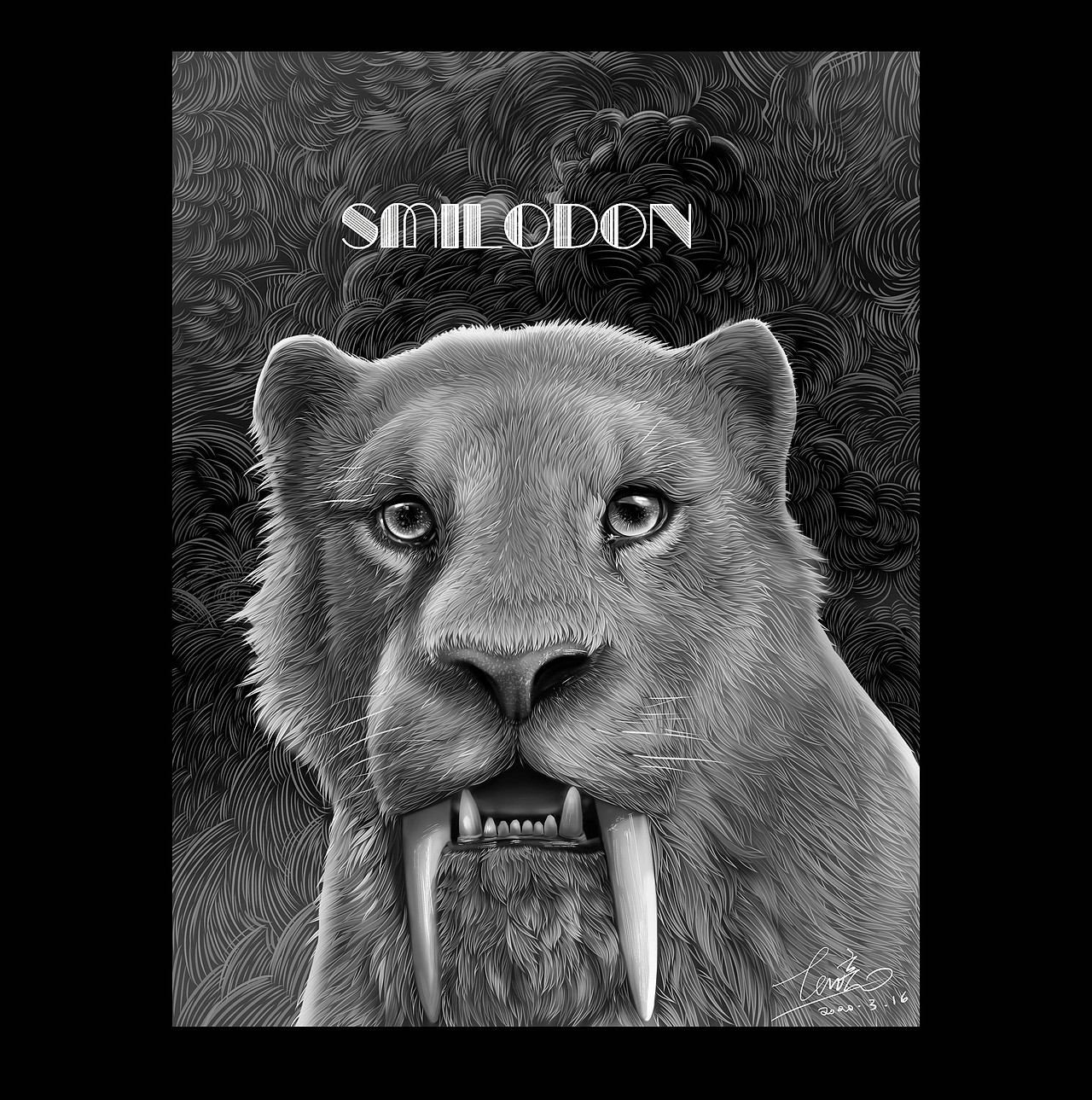 动物插画《剑齿虎》