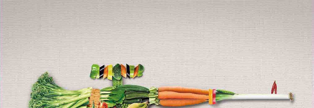 比亚酶 政府机构 标志LOGO设计+VI设计 品牌产品包装