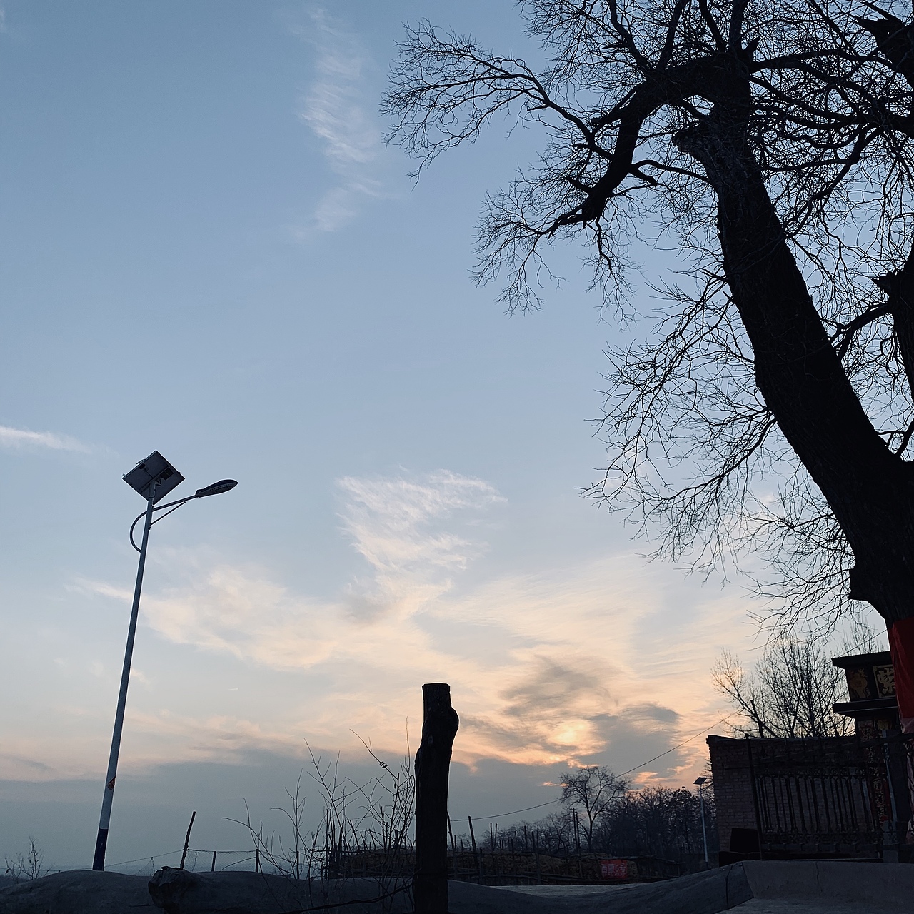 手机摄影小记（图ZMTQzODg5NTI0） - 人文/纪实摄影 - 站酷设计师荼蘼y原创素材 - 站酷ZCOOL