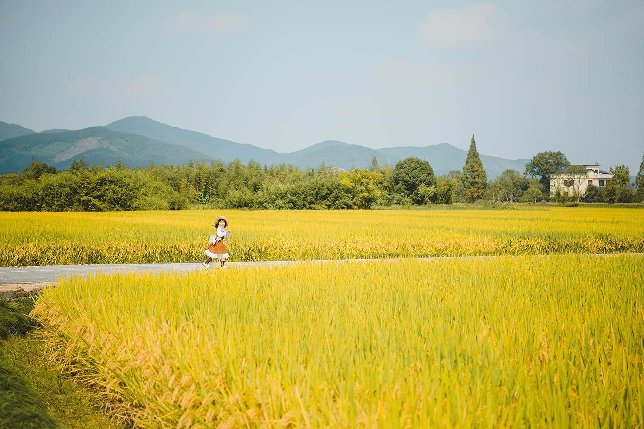 秋的诗（图ZMjI4MTYwNjky） - 人像摄影 - 站酷设计师雨非飞原创素材 - 站酷ZCOOL