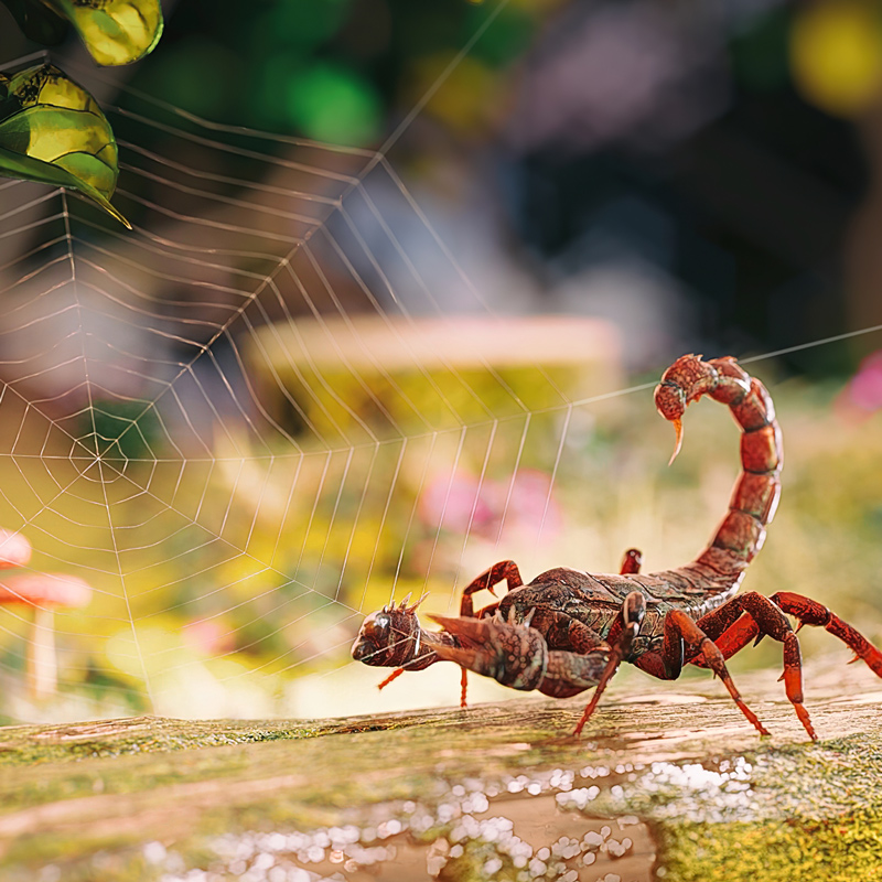 像素诗社的个人主页（背景预览） - 主页背景设置 - 站酷设计师像素诗社原创素材 - 站酷ZCOOL