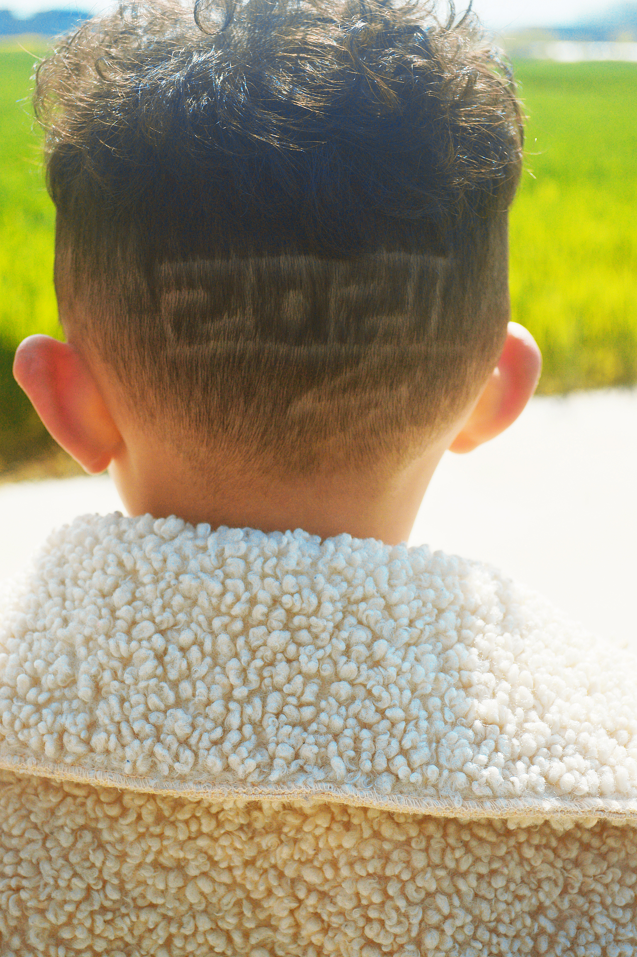 油菜花的季节+1