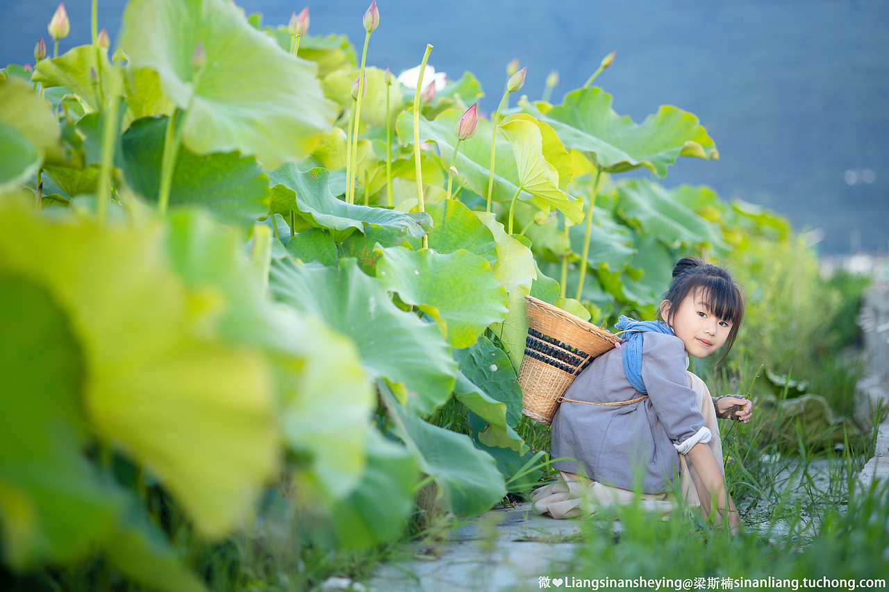 夏荷（图ZMjYyNzk2NTg0） - 人像摄影 - 站酷设计师梁斯楠原创素材 - 站酷ZCOOL