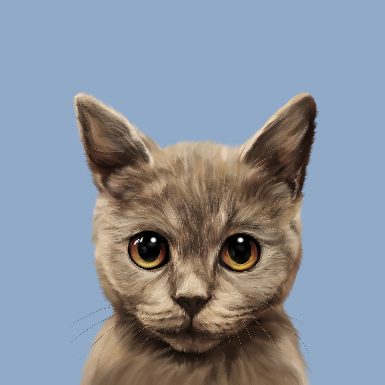 猫猫头像|插画|插画习作|蔡雪 - 原创作品 - 站酷 (ZCOOL)
