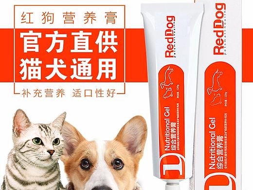 宠物用品营养膏主图
