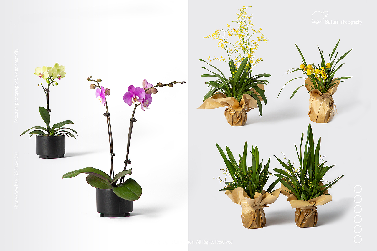 花艺作品拍摄 ｜Venus Flower 法式高端花艺品牌（图ZMjQ5MjQ5MDky） - 产品摄影 - 站酷设计师汪三土原创素材 - 站酷ZCOOL