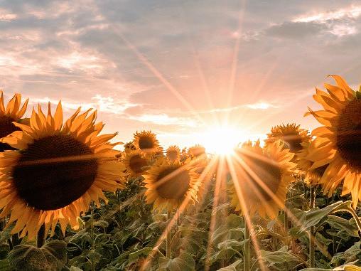 深圳龙岗企业宣传片制作公司