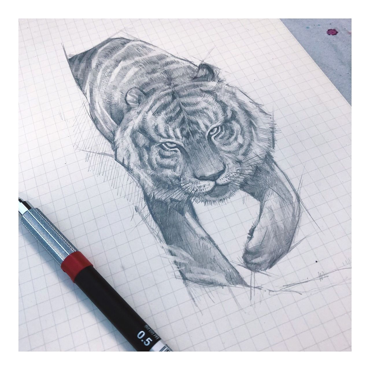 自动铅笔手绘练习