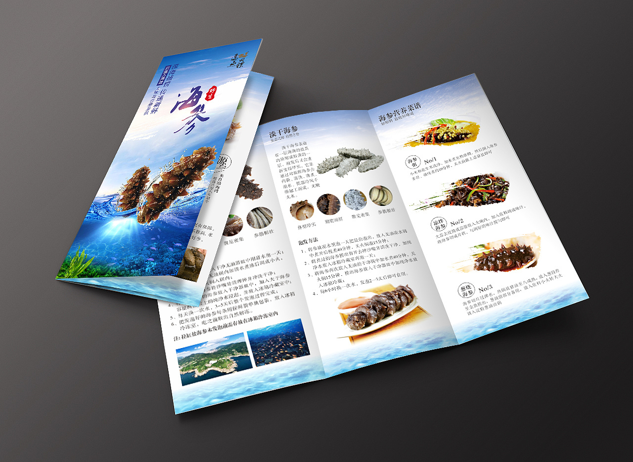 海参-折页|平面|其他平面|z42701422 - 原创作品 - 站酷 (zcool)