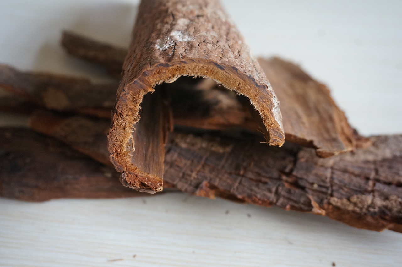 云南满泽卡宾达树皮 非洲安哥拉卡宾达