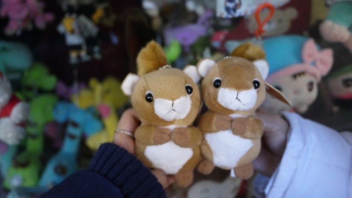 黏在家里 年在家里