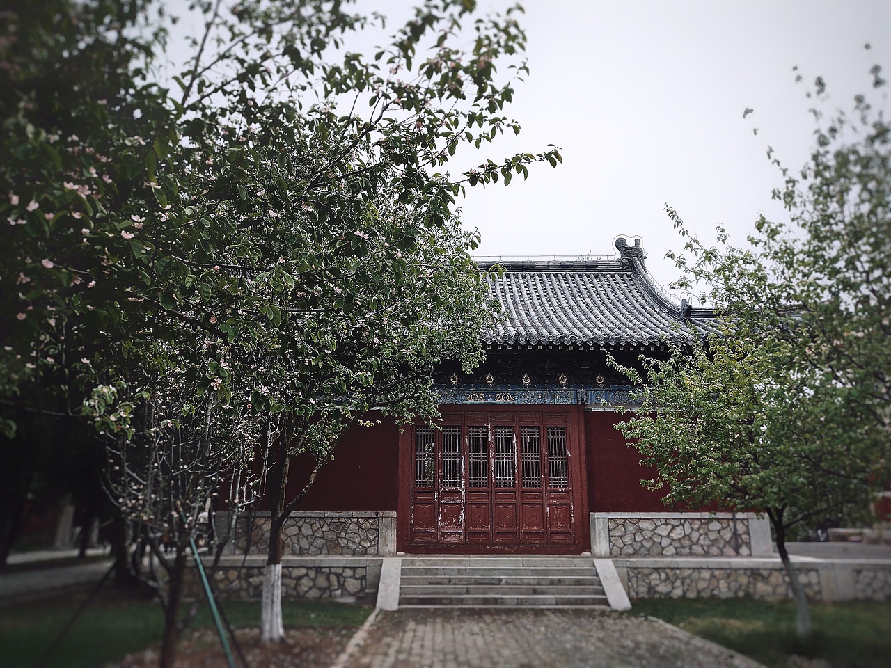 摄影艺术(小白)