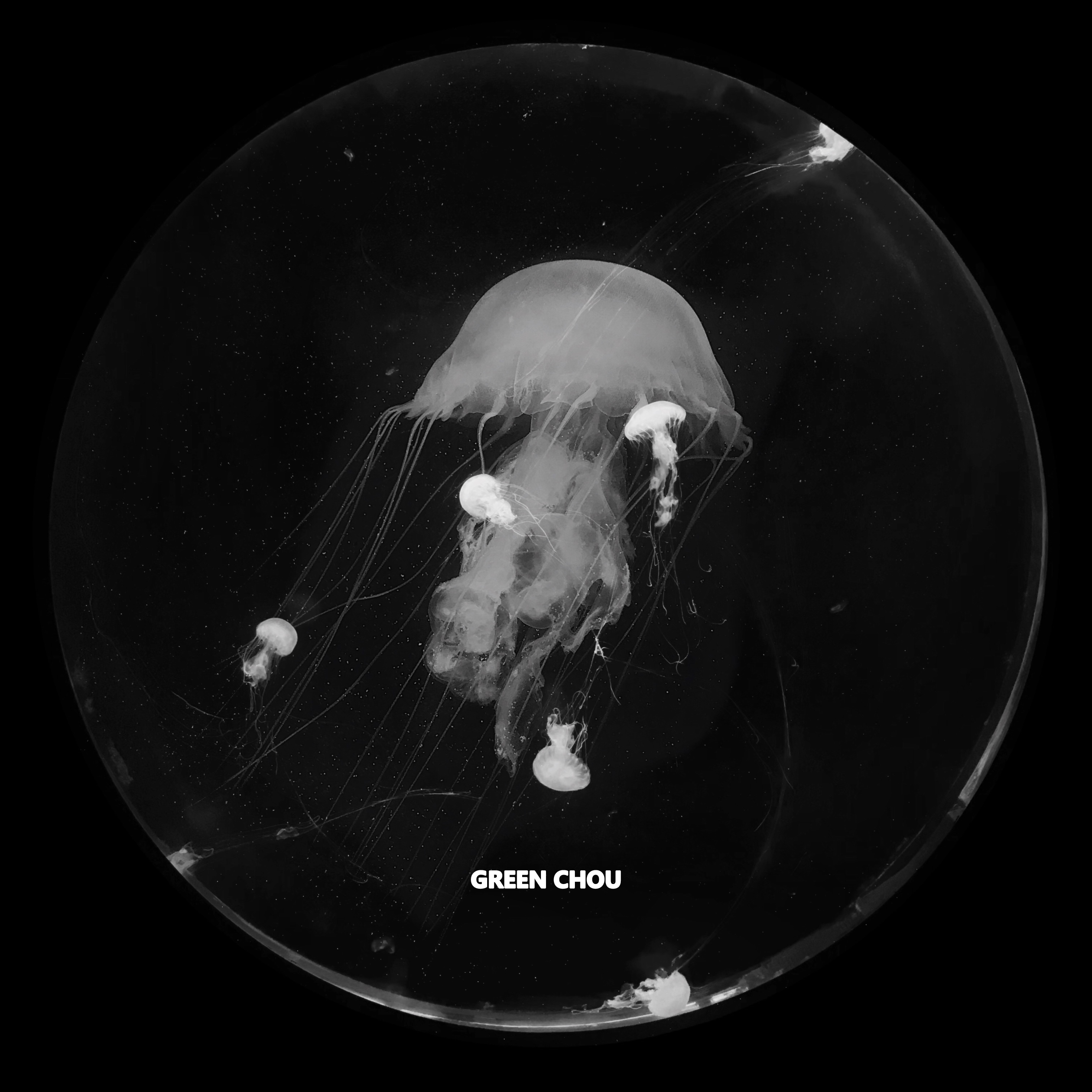 尼羅苔的個人主頁（封面預覽） - 主頁封面設置 - 站酷設計師尼羅苔原創(chuàng)素材 - 站酷ZCOOL