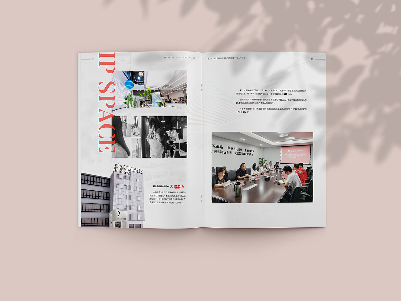 荷花別樣紅?畫冊設計（圖ZMjgzMTAwNzAw） - 書籍/畫冊 - 站酷設計師realcct33原創(chuàng)素材 - 站酷ZCOOL